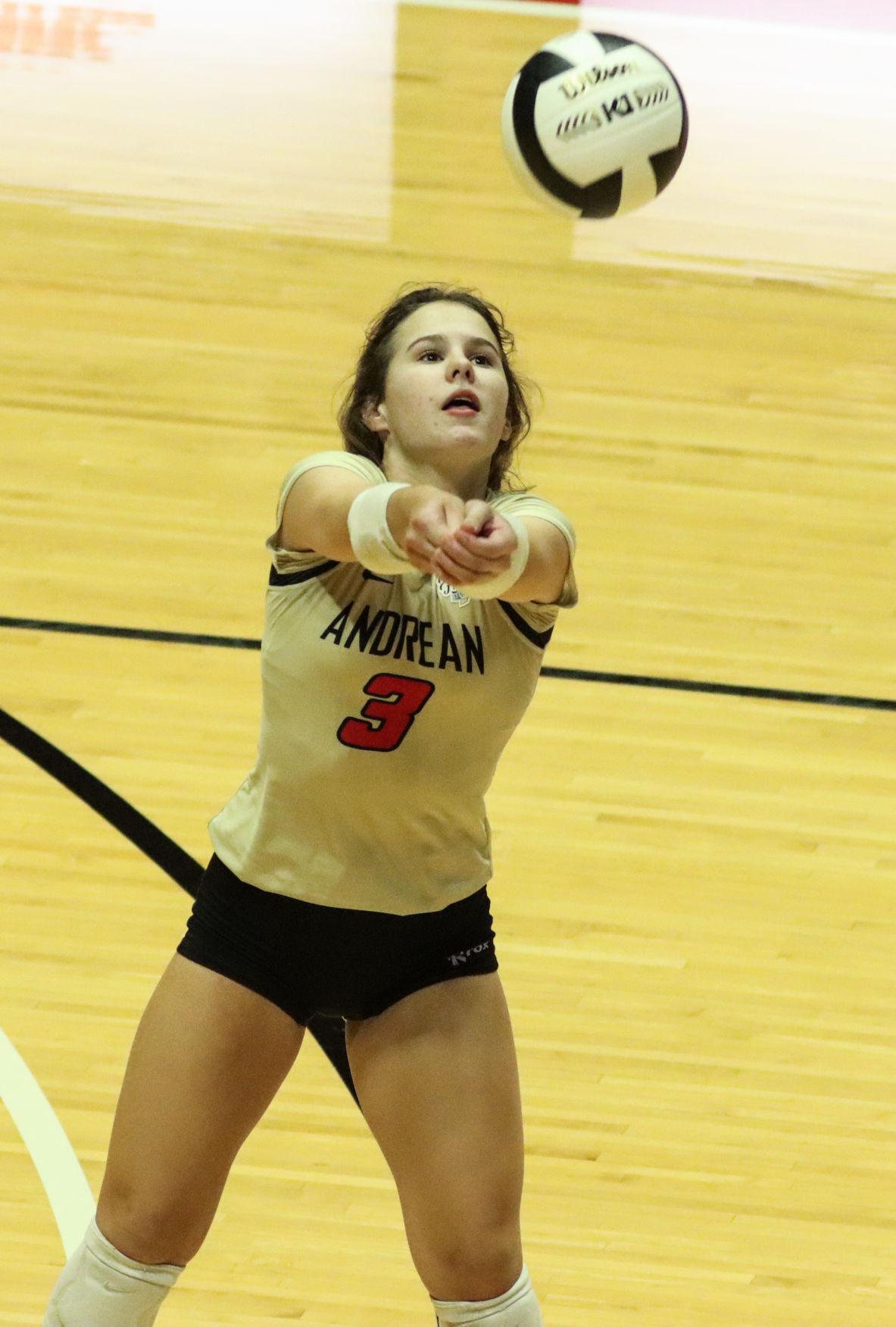 2A volleyball state final - Andrean vs. Western Boone